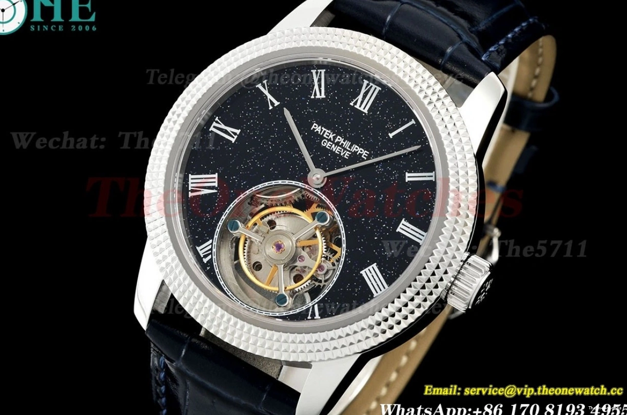 Sky Dial 42mm SS Complications Tourb RMSF LE Starry 0420